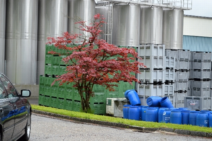 2013-SMR Fotogalerie 166.jpg